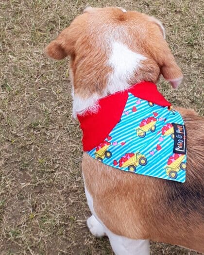 Truck Full of Hearts Bandana