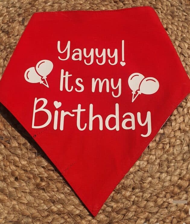 Yayyy! Its my Birthday Bandana