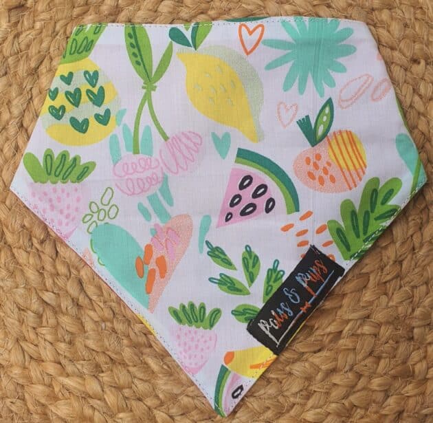 Fruity Bandana