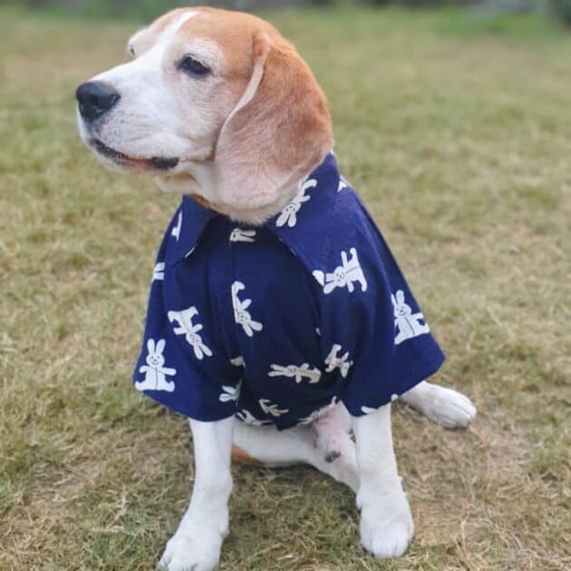 Teddy print Warm Shirt