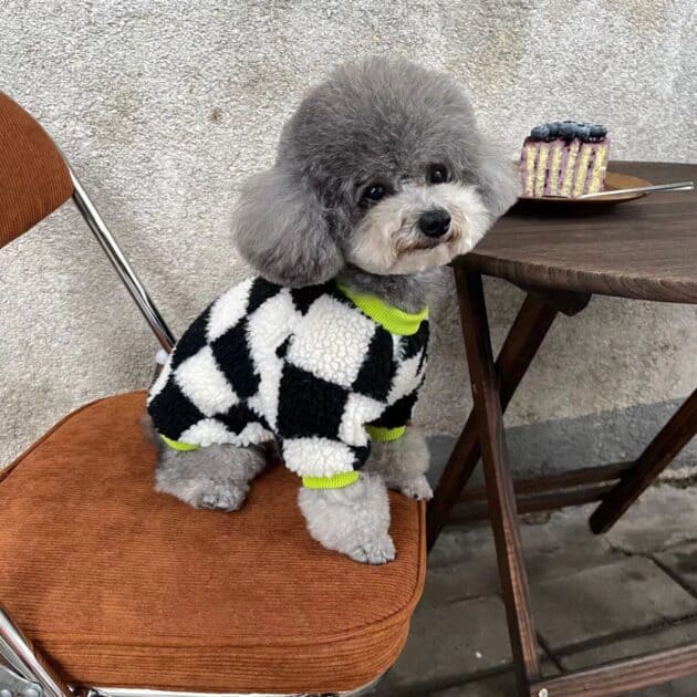 Black & White Checkered Sweater