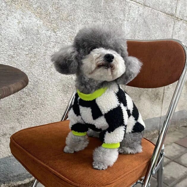 Black & White Checkered Sweater