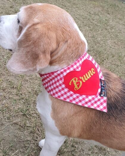 Heart Name Bandana