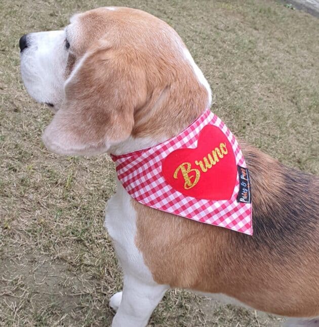Heart Name Bandana