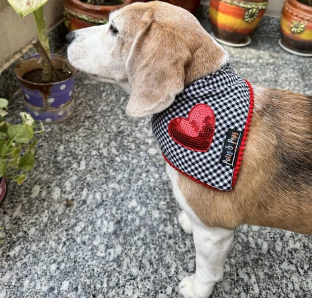 Sequins Heart Patch Bandana