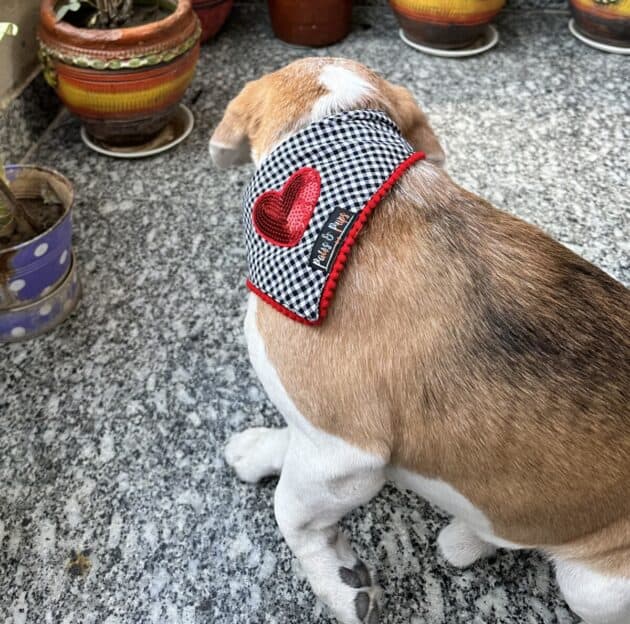 Sequins Heart Patch Bandana