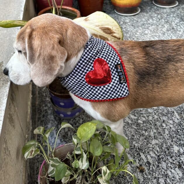 Sequins Heart Patch Bandana