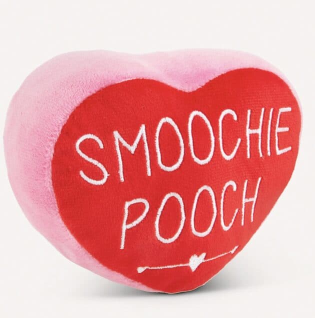 Smoochie Pooch Plush Squeaker Toy