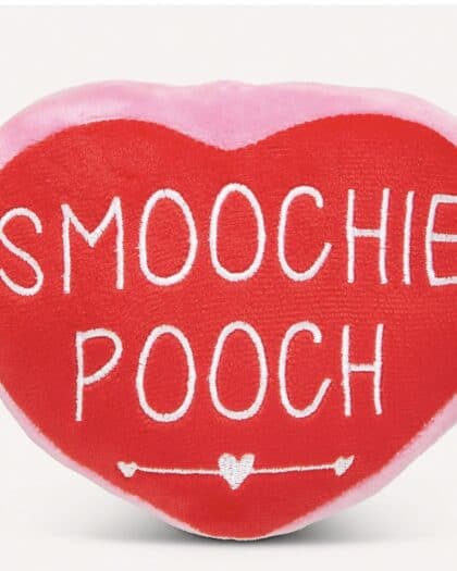 Smoochie Pooch Plush Squeaker Toy