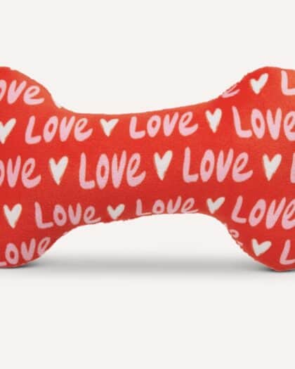 Love Love Plush Squeaker Bone Toy