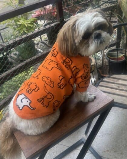 Elephant Print Orange Sweater