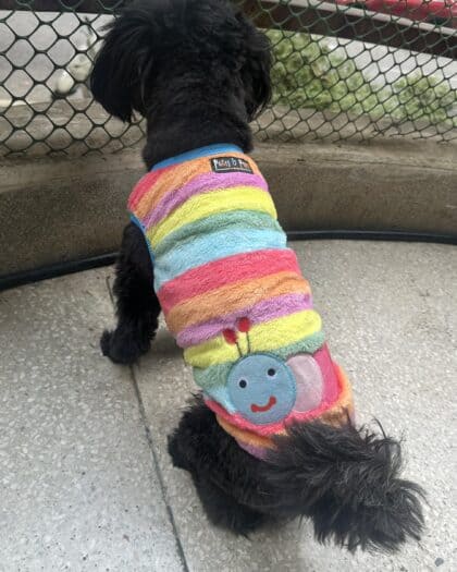 Caterpillar fleece Small size vest