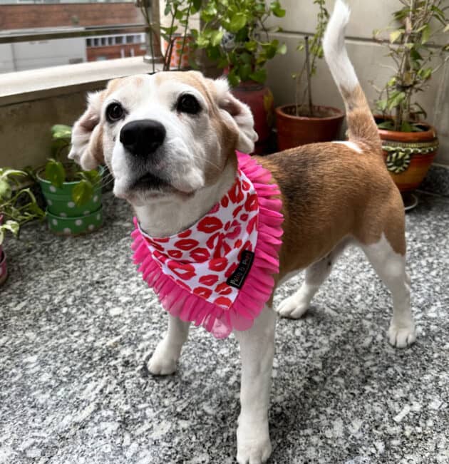 Pink Lips Bandana