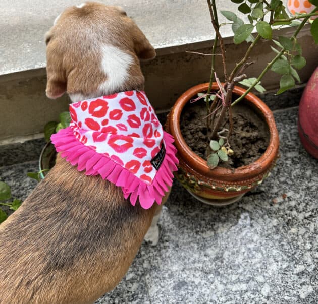 Pink Lips Bandana