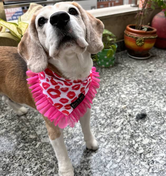 Pink Lips Bandana