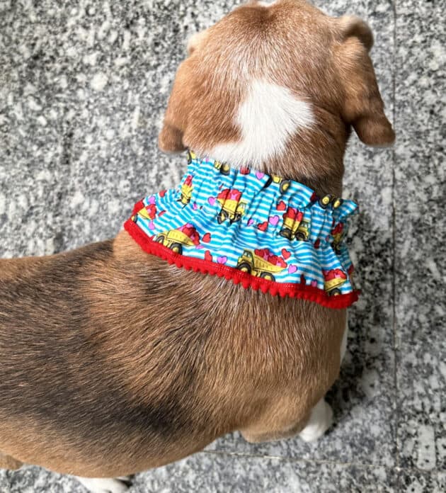 Truck Full of Hearts Ruffle Collar