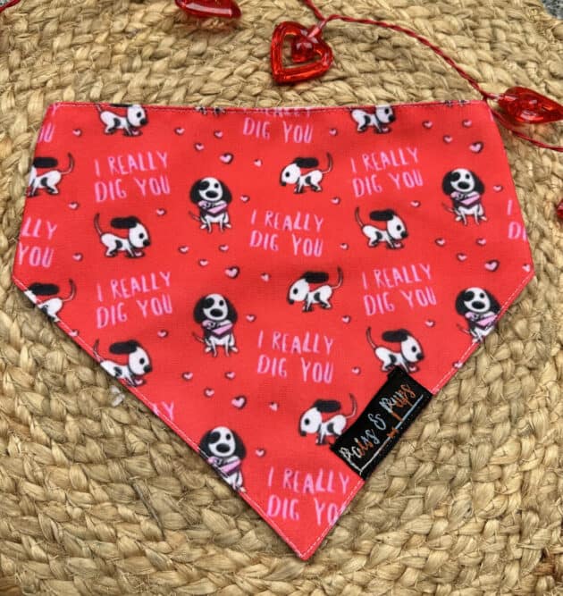 I Really Dig you Bandana