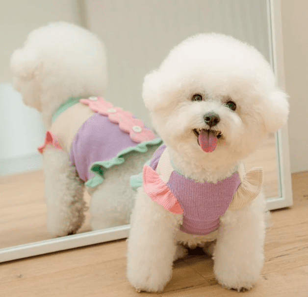 Pastel Colorblock Jersey Dress – Small size Pastel Colorblock Jersey Dress - Small size