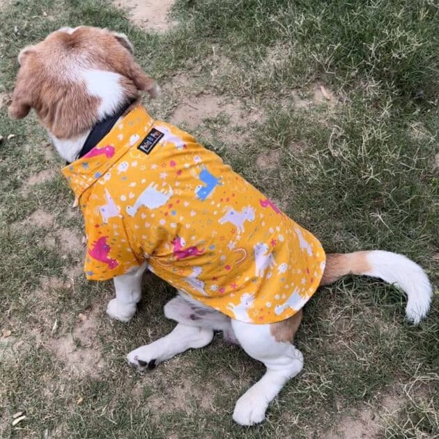 Yellow Unicorn Shirt