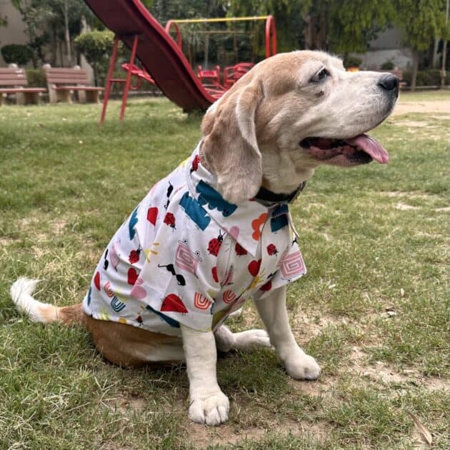 Summer Doodle Shirt