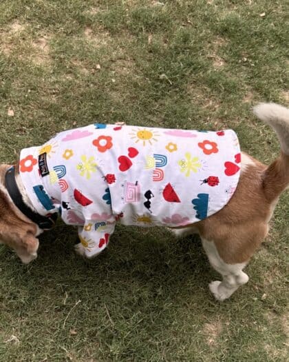 Summer Doodle Shirt