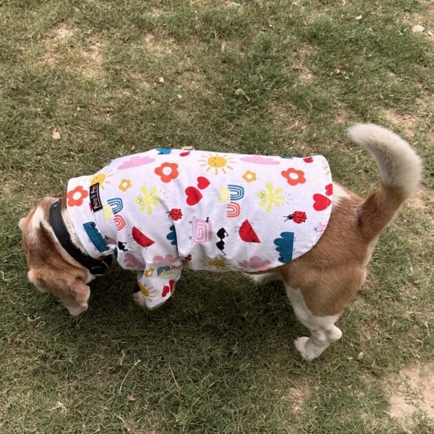 Summer Doodle Shirt