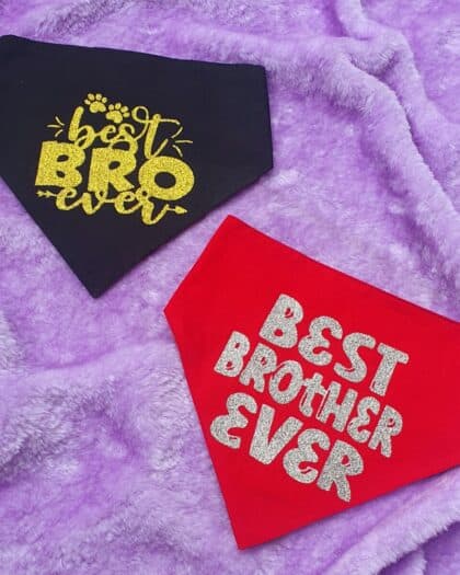 Best Bro/Brother Ever Bandana