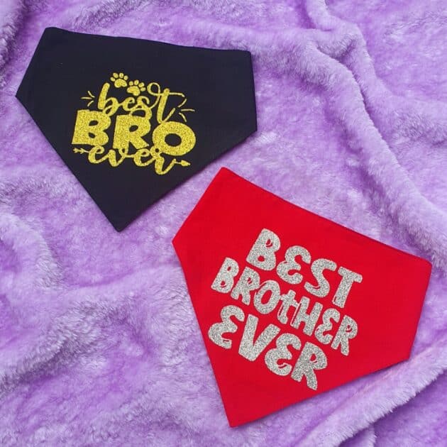 Best Bro/Brother Ever Bandana