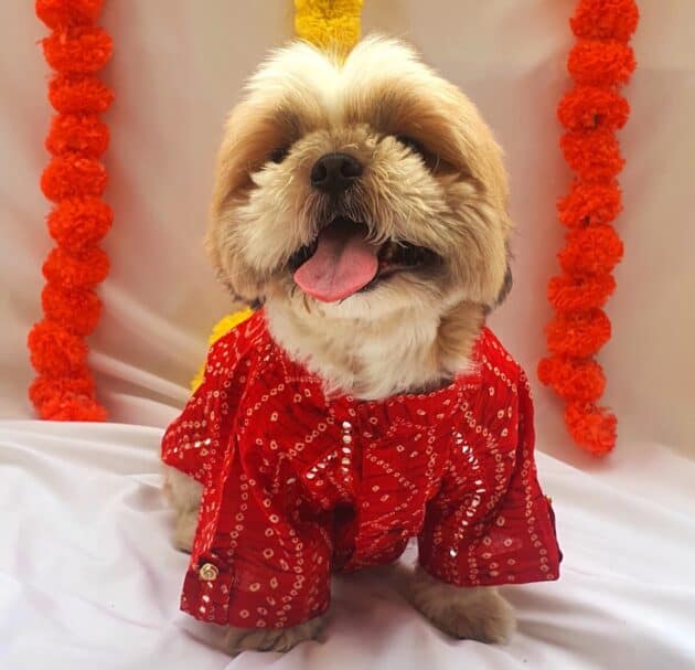 RED Bandhani Kurta