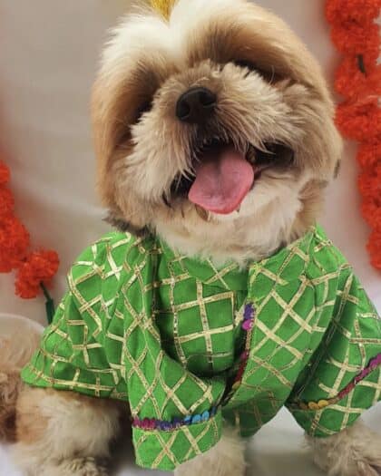 Neon Green Gotta Patti Kurta