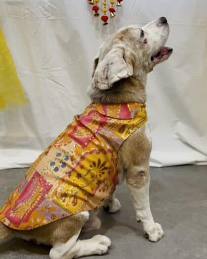 Multi color Embroidered Kurta Jacket