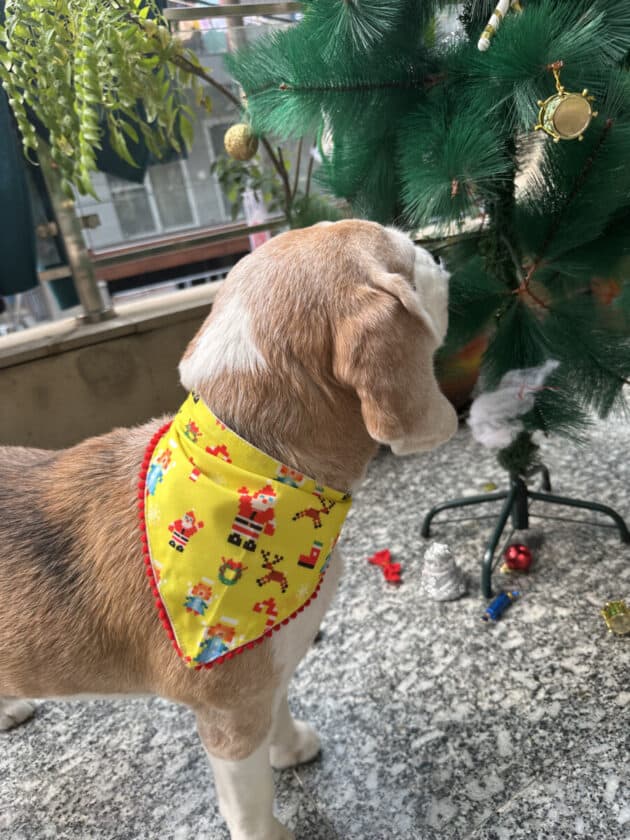 Santa Paws Yellow Bandana