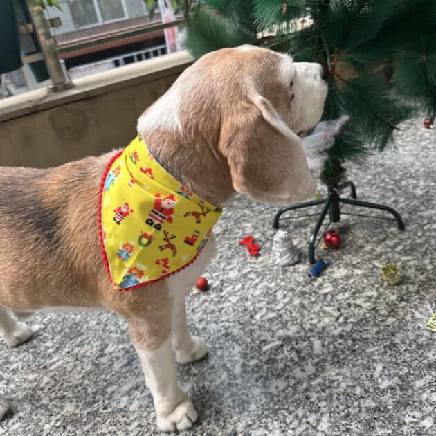 Santa Paws Yellow Bandana