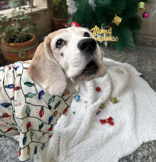 Christmas Fairy Light Warm Shirt