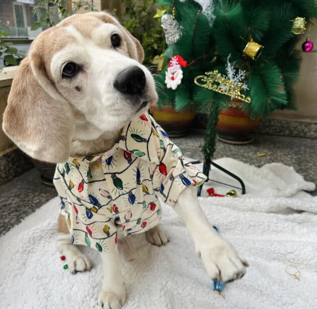 Christmas Fairy Light Warm Shirt