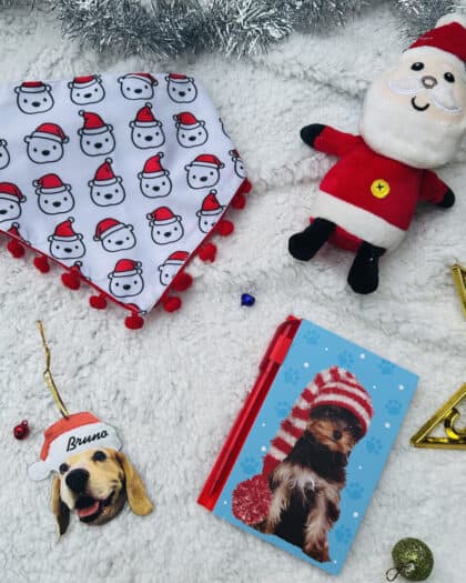 Christmas Gift Hamper for Pups – 1