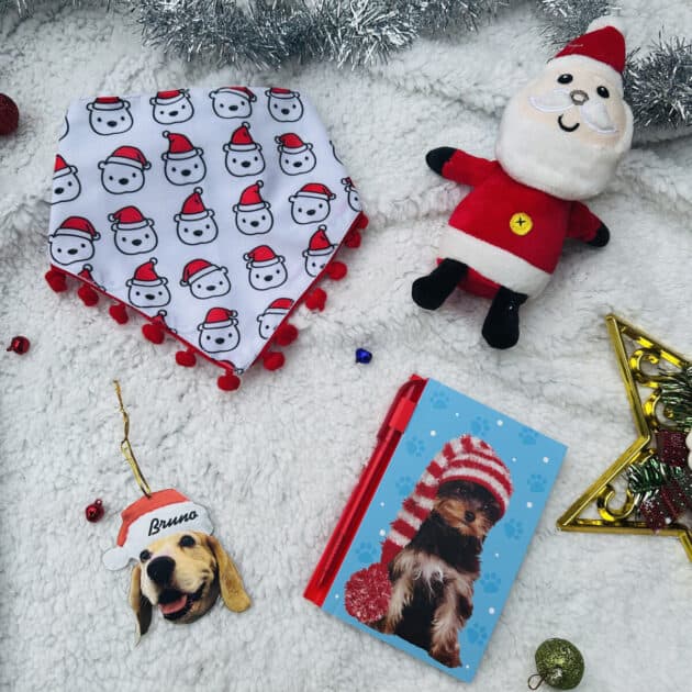 Christmas Gift Hamper for Pups – 1
