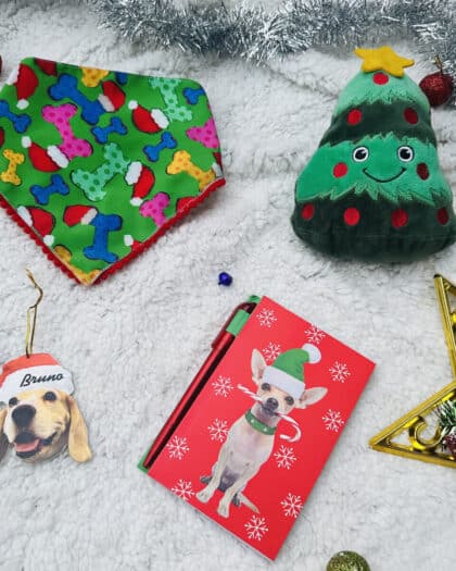 Christmas Gift Hamper for Pups – 2