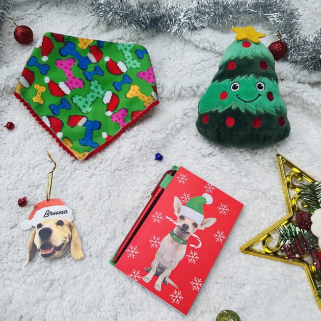 Christmas Gift Hamper for Pups - 2