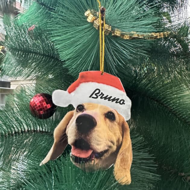 Christmas Gift Hamper for Pups – 1