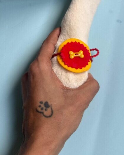 Yellow Red Dog Bone Rakhi