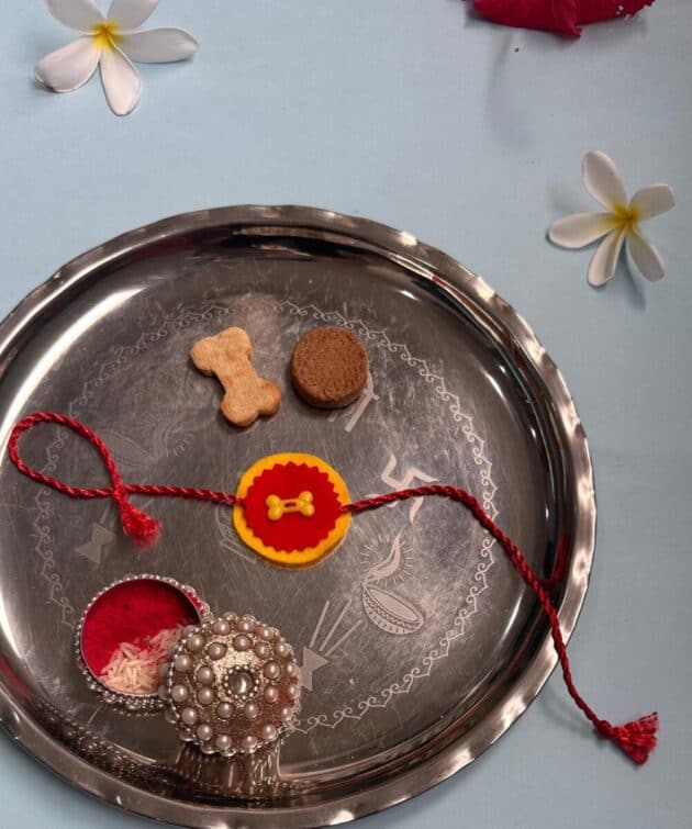 Yellow Red Dog Bone Rakhi - Image 2