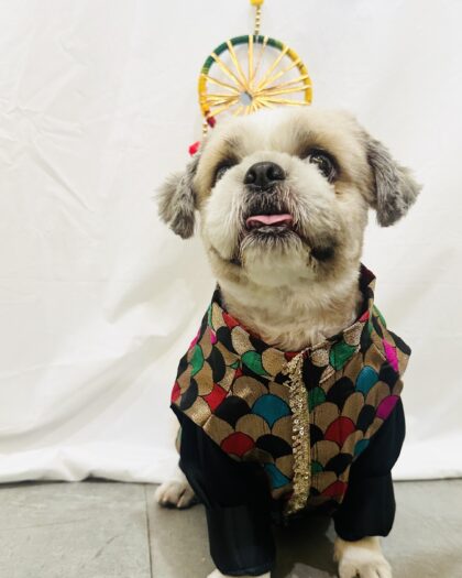 Rangmanch 2pc Dog Kurta Coord Set