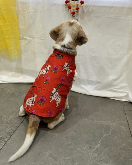 RED Pichwai Print Dog Kurta