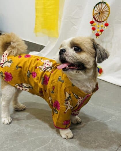 YELLOW Pichwai Print Dog Kurta