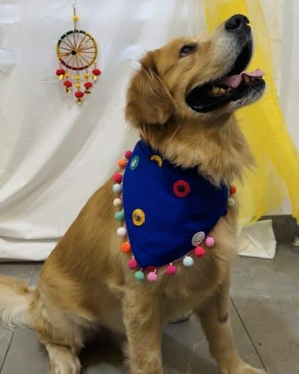 Blue Mirror Work Dog Bandana