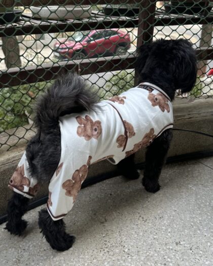 Teddy Warm fleece Onesie for dogs