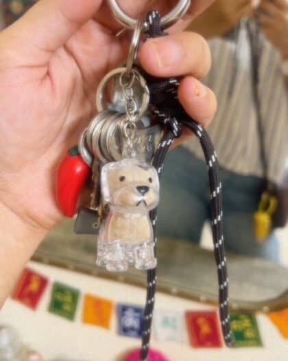 Pet Hair Keepsake Keychain
