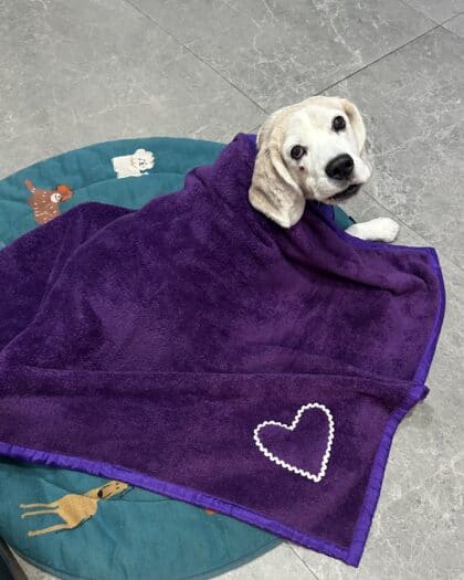 Heart Patch Warm Blanket for dogs