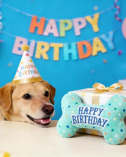 Dog Happy Birthday Bone Toy